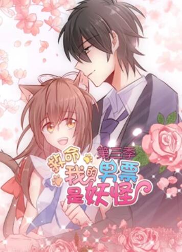 日韩高清不卡无码视频